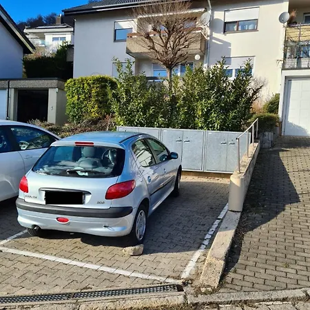 Sunny In Grenzach, Ideal Location To Basel غرنزاش ويلن